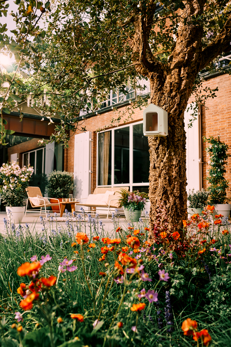 BNDL cosy bird house + feeder mushroom beige